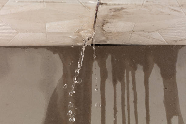 Professional Burst Pipe Cleanup technician working in Arcadia, OH